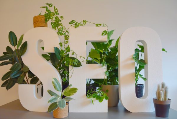 a white sign with plants and a potted plant next to it